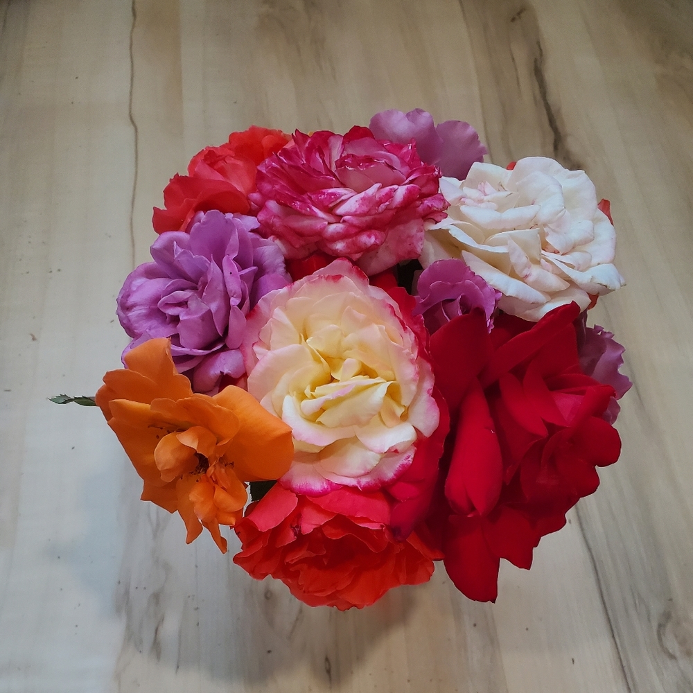 Meet your Posher, Carrie